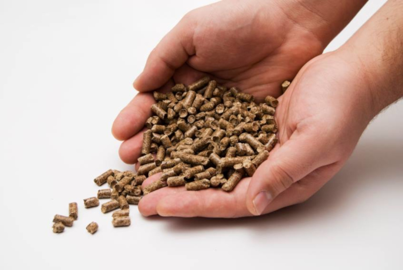 azwood energy wood pellets on someones open hands.