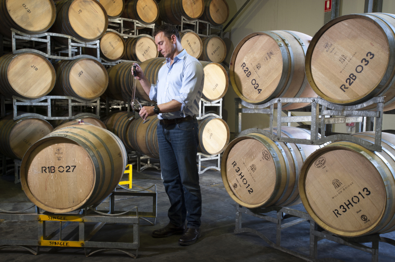 Shire of Dardanup, Western Australia wine barrels