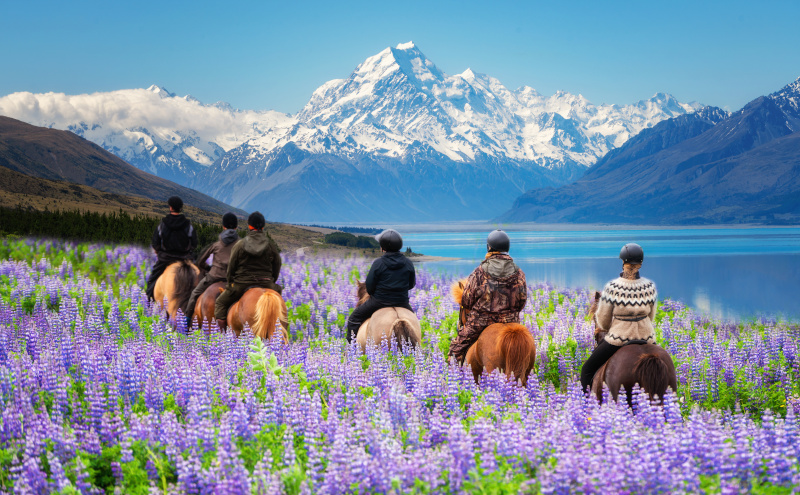 new zealand tour operators association