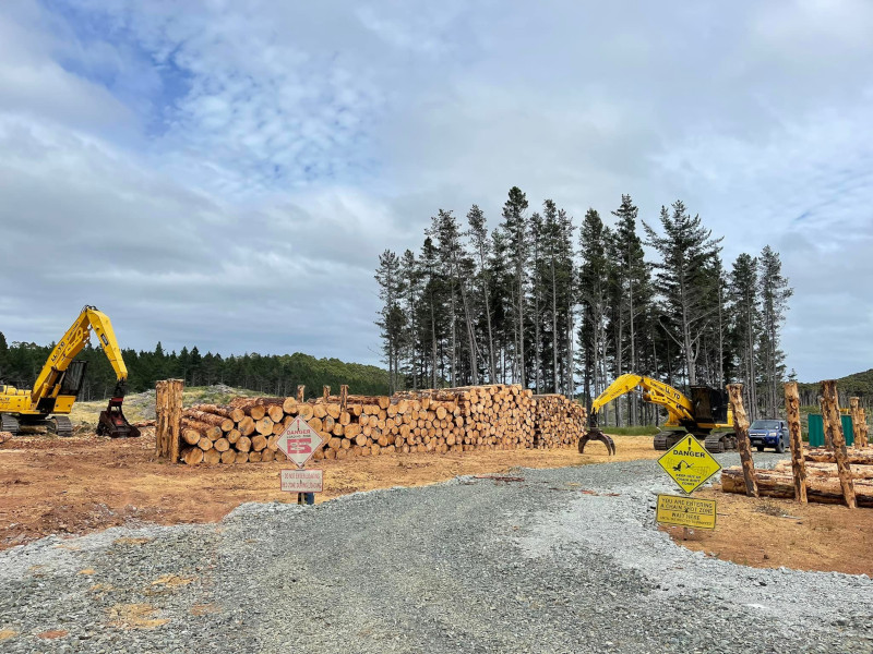 Lloyd Logging - Kaitaia, New Zealand